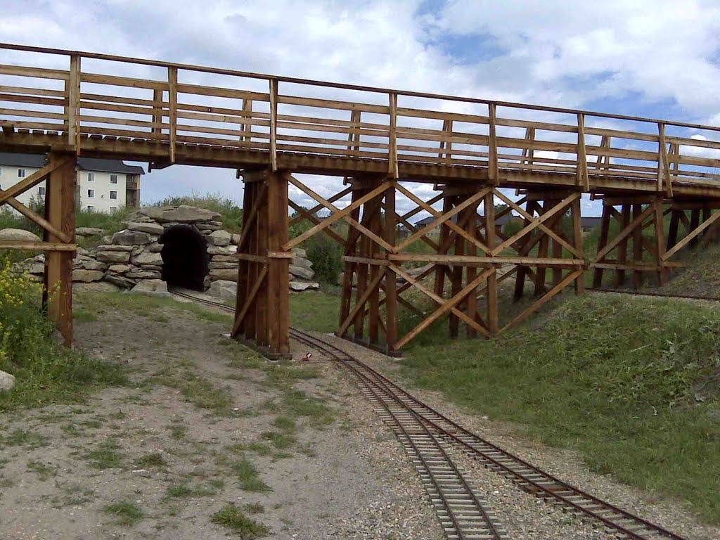 Ironhorse Park, Airdrie Alberta by R. Sieben