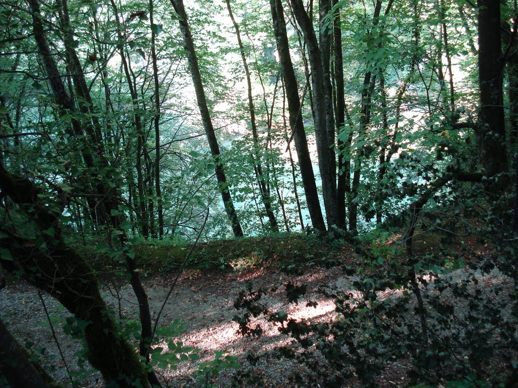 Photographie d'un chemin forestier au bord de l'eau, sur la rive gauche du Fier, à proximité de Saint-André-Val-de-Fier (74150, Haute-Savoie, France). by lydetlox