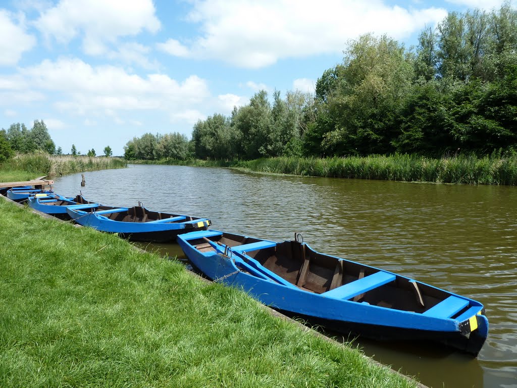 Rowing boats in Noord Aa canal, Zoeterwoude, Holland by NellvdBoschLevendig