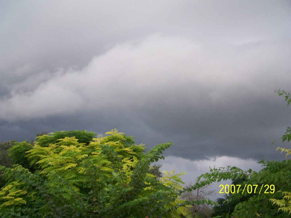 Storm clouds through the trees by barbie124h