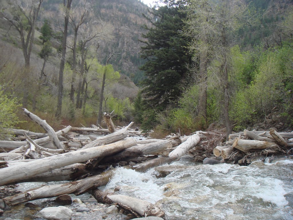 Creek in glenwood canyon by ZAHIDCOASSRI