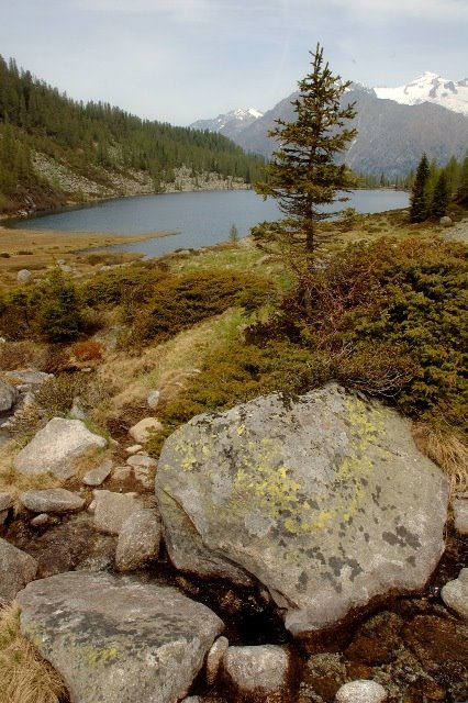 Laghi S.Giuliano by Rangotango