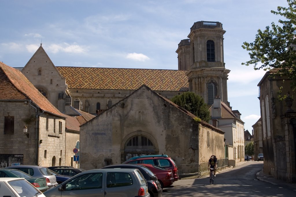 langres cathederal by davyc