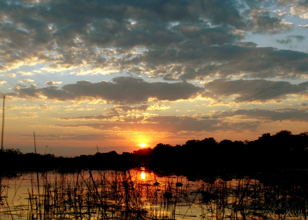 Okavango by Juan Ignacio Pascual