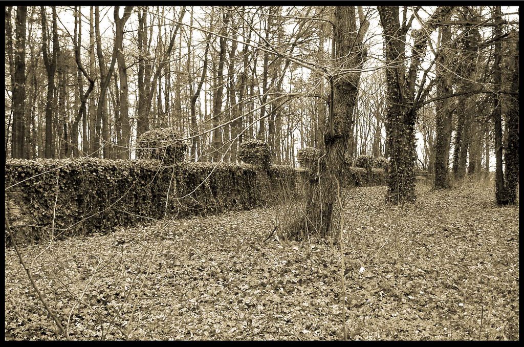 old cemetery 2007 by martinclif