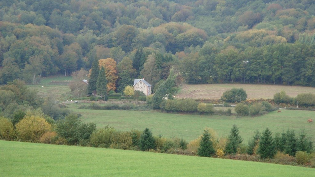 La Gane près de Chez Chapelle (photo prise de la RD 69) by Eugene68