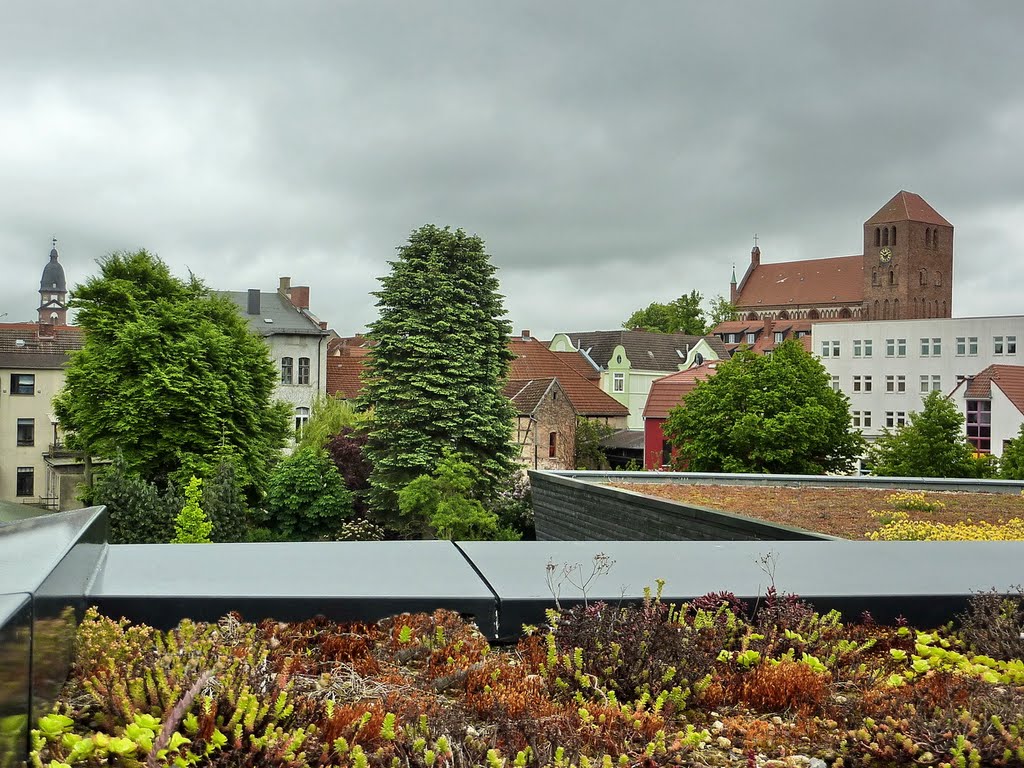 Extensive Begrünung auf dem Dach des Müritzeums in Waren by Schwiemonster