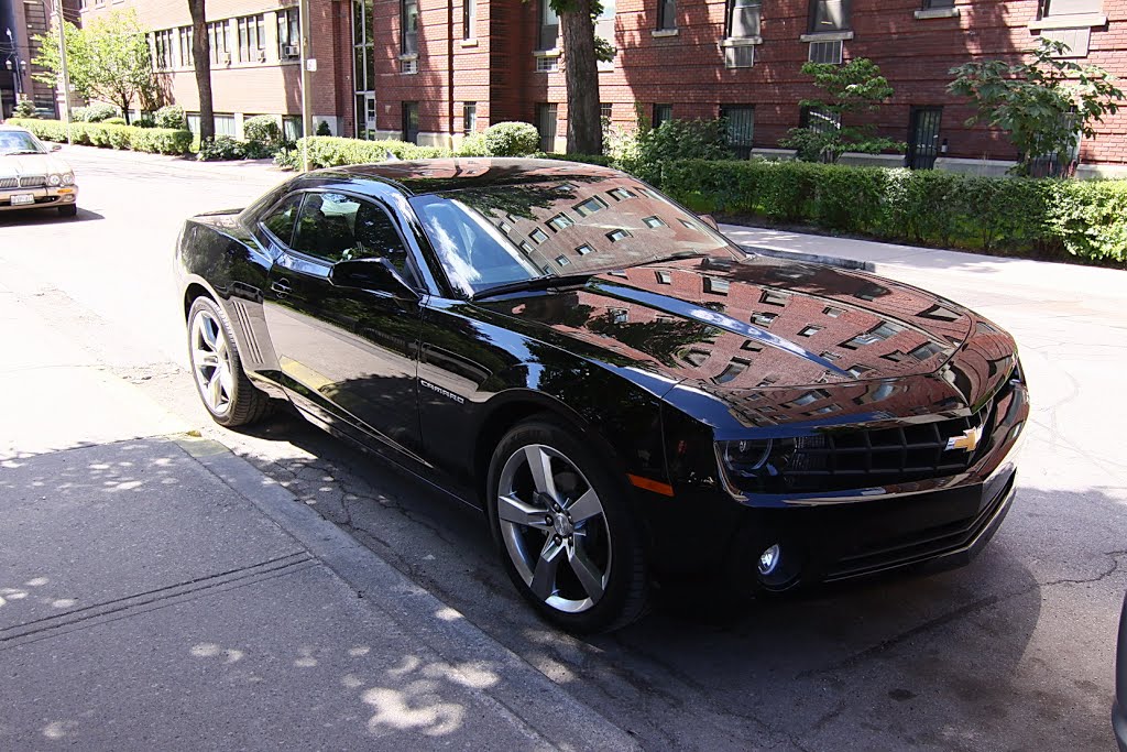 Camaro en Toronto by Alberto Azparren