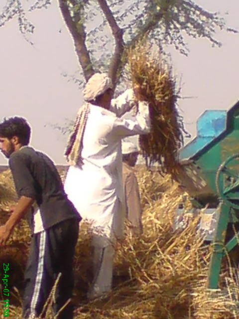 MALIK KHURAM AND BABU MALIK CHAK GHAIAN by MALIK PARVEZ JAFFERY