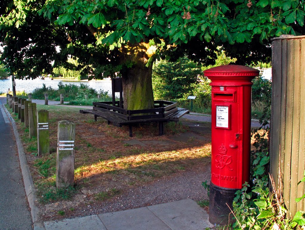 ' The Half-Mile Tree'. Thames-side, Kingston. by brian01