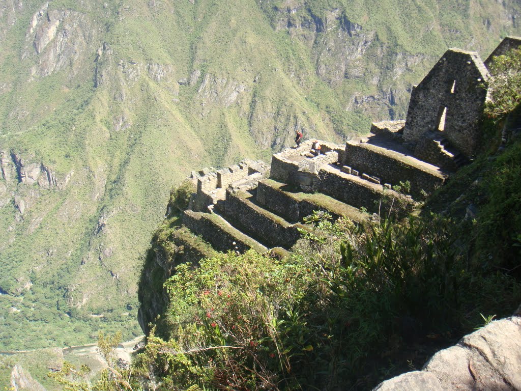 Vista da ruína da Cidade perdida dos Incas na montanha Wayna Picchu junto a Macchu Picchu, no fundo o vale com o Rio Urubamba - Peru by Paulo Yuji Takarada