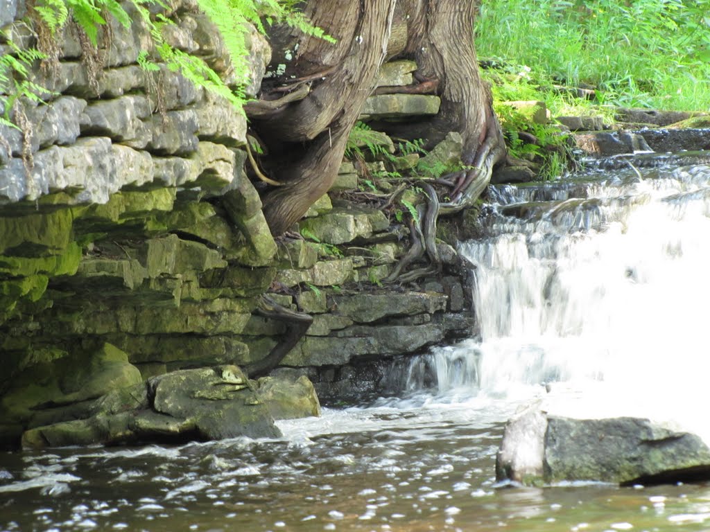 Jones Falls Rock Ledge by Chris Sanfino