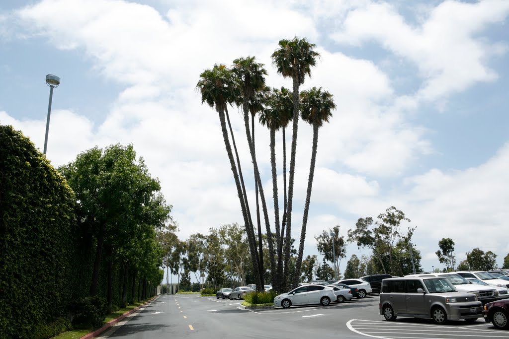 South Coast Plaza Shopping Center's Parking Lot by Hoàng Khai Nhan