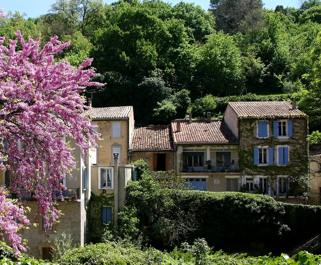 Rennes-les-Bains by Bill West