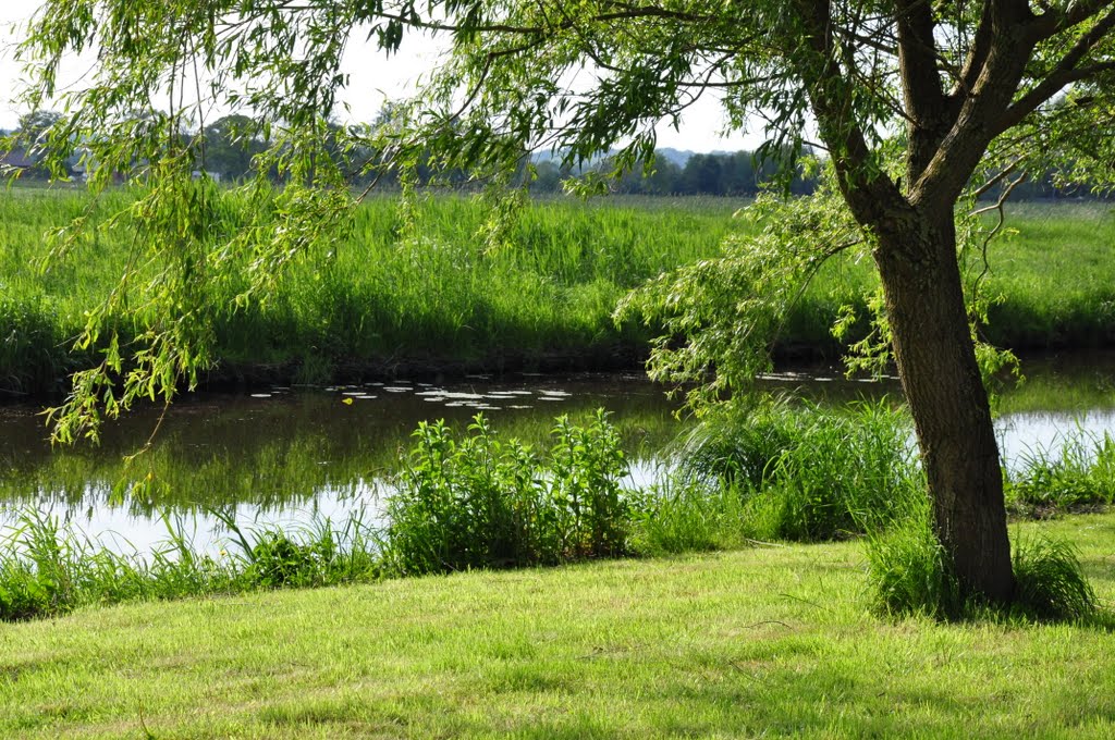 Grundstück an der Wilster Au by Malien Beimgraben