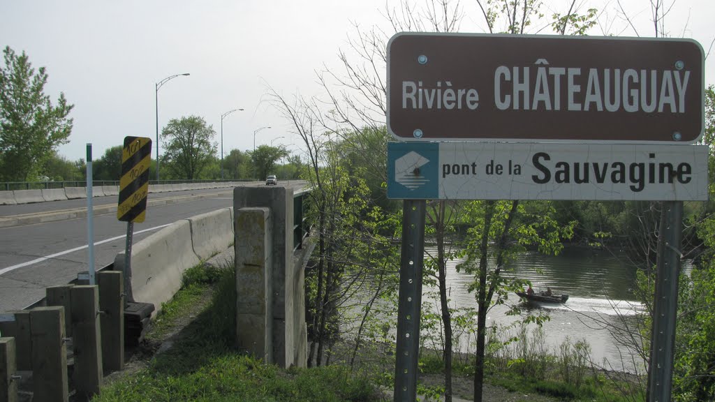 Pont de la Sauvagine mal en point by Mathieu D.