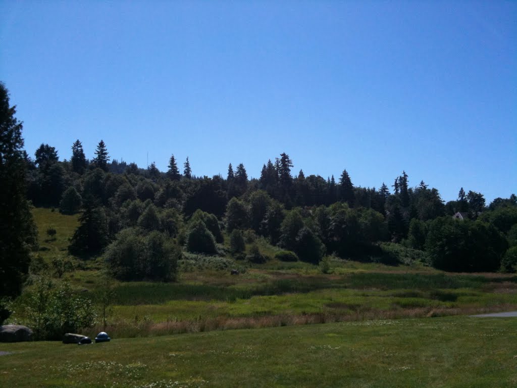 Lewis Creek Park View by bobd