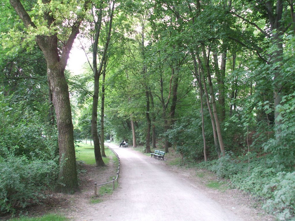 Englischer Garten, Muenchen by Erdmann Rogge