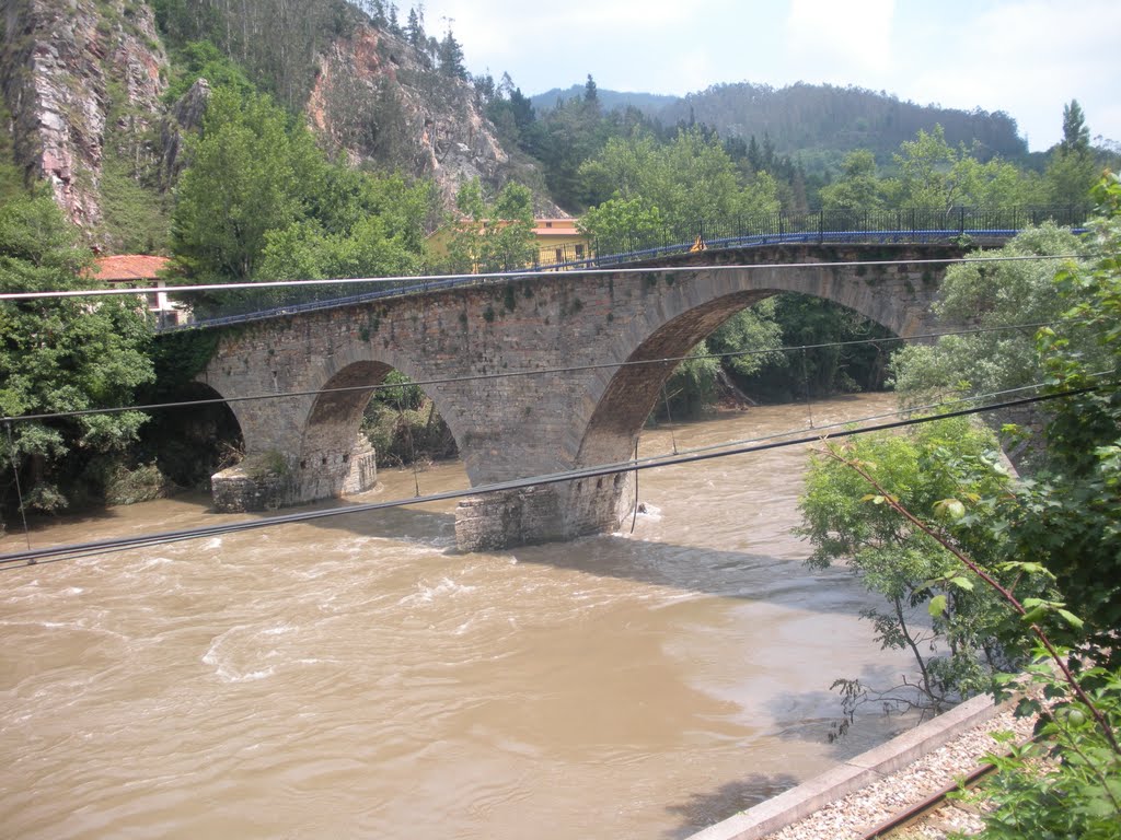 Puente de Peñaflor by génessis