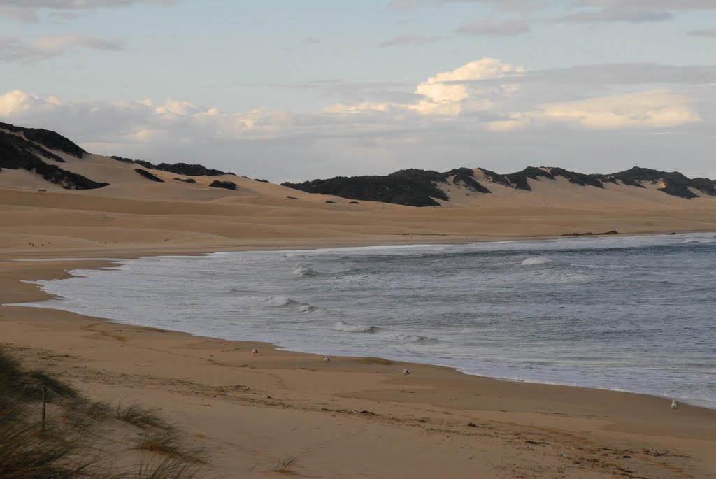 Indian Ocean Beach, Port Alfred by larrydalehodge