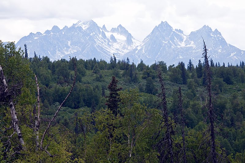 Alaska Range by Bob Engelbart