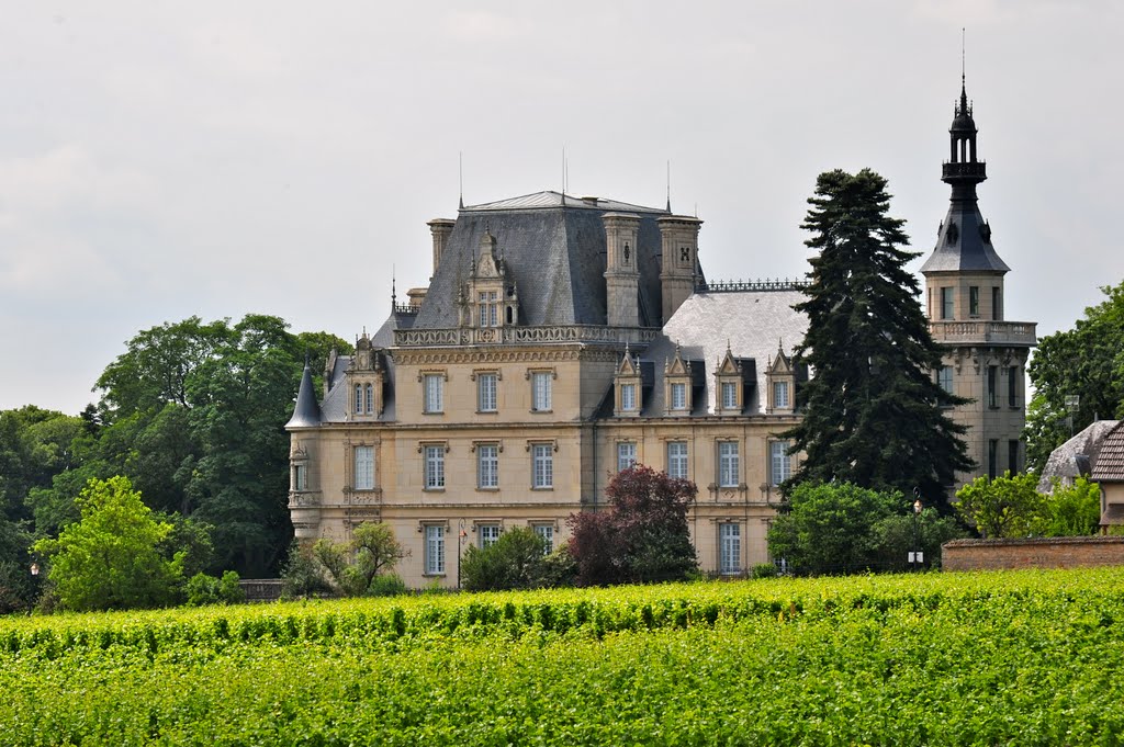 Le chateau by markjone