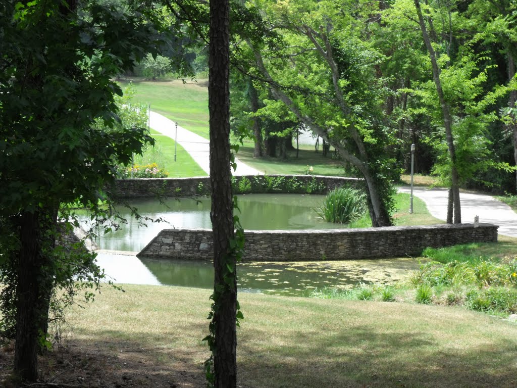 Pond and Golf Cart Path by Otteroo