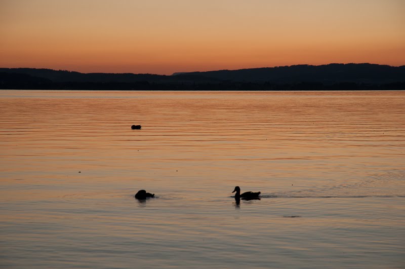 Sonnenuntergang am Sembacher See by wege7