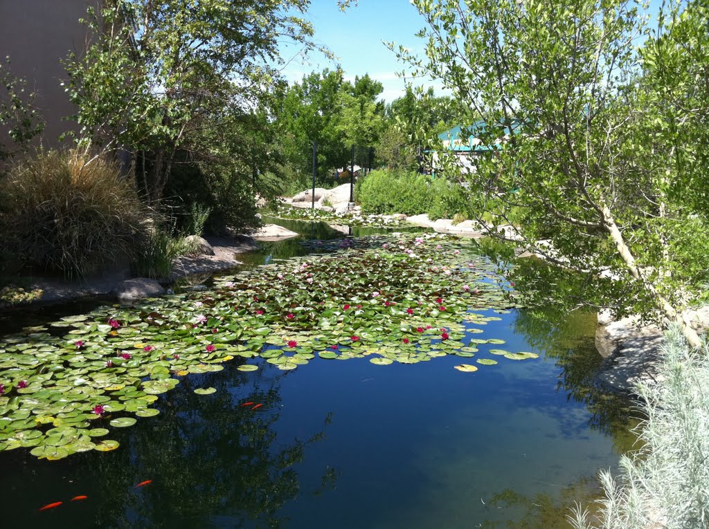 Pond at the Bio Park by fastermatt