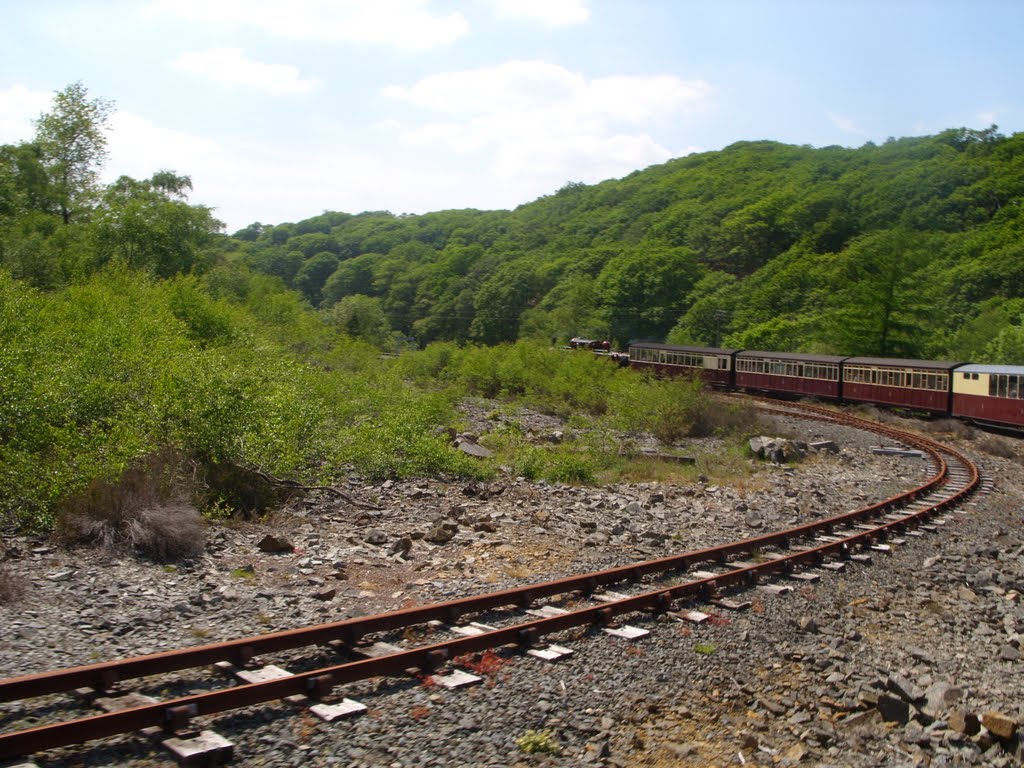 Ffestiniog railway by Duncan Leach