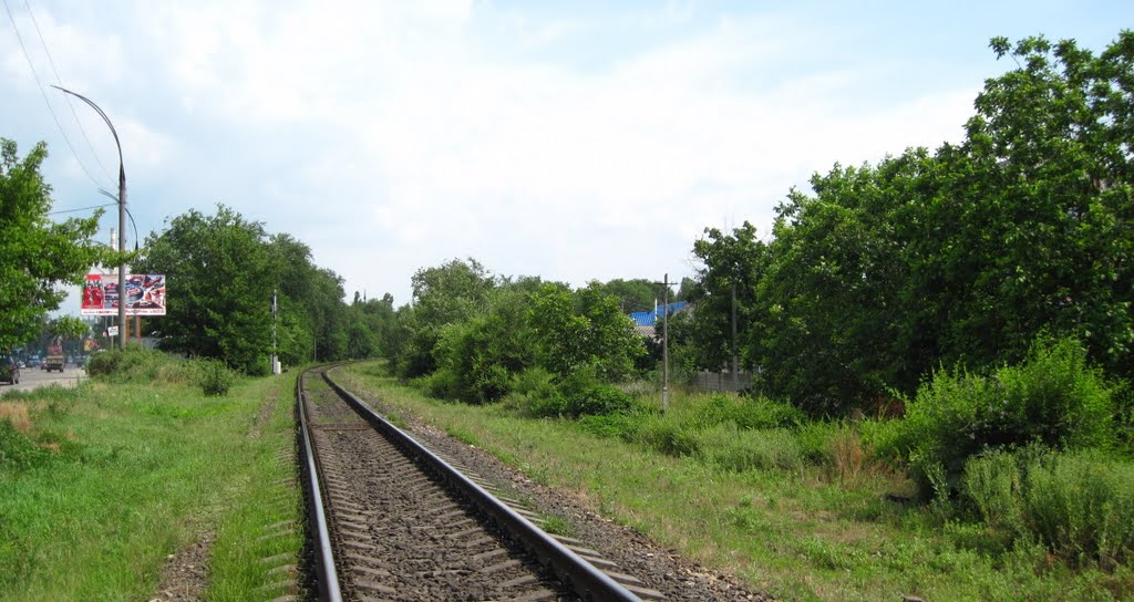 Railroad, looking SE by Alexander Murvanidze