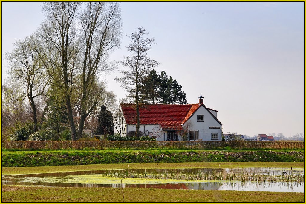 Westmaas - Red Roof by Ria Maat