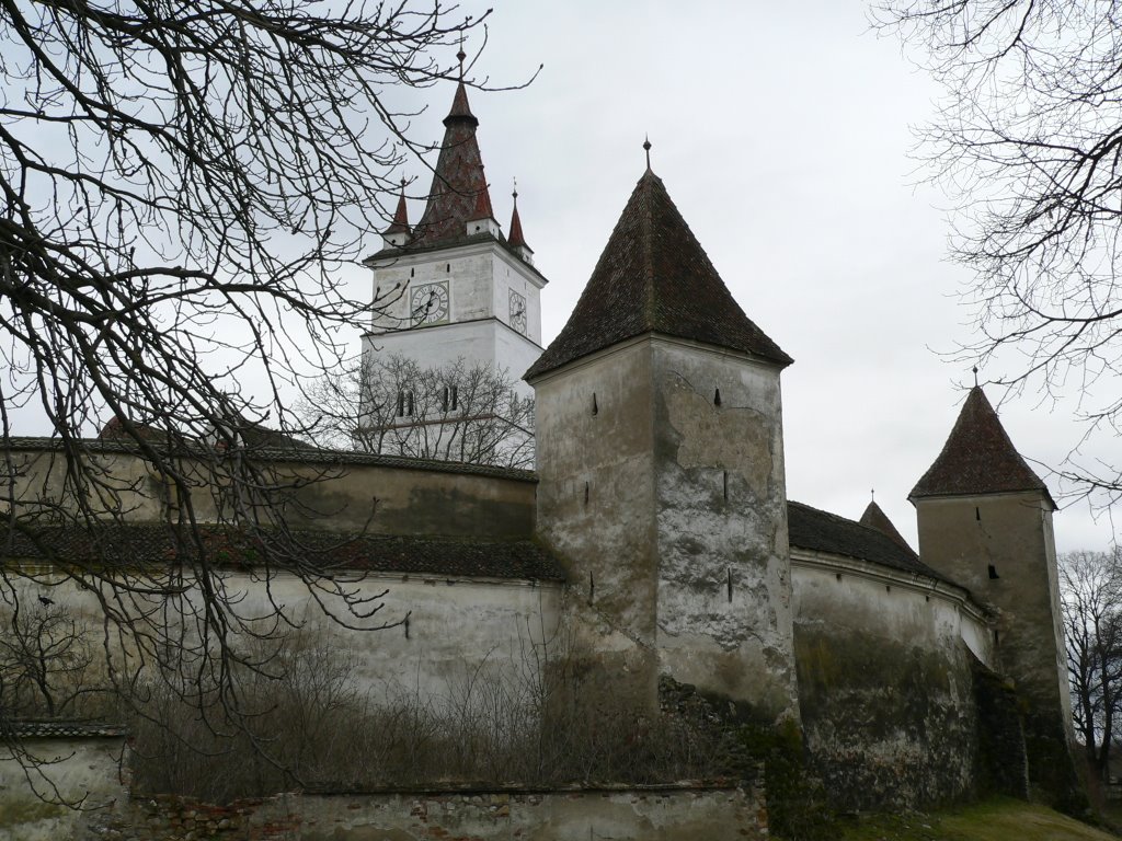 Hărman 507085, Romania by Sorin Anton