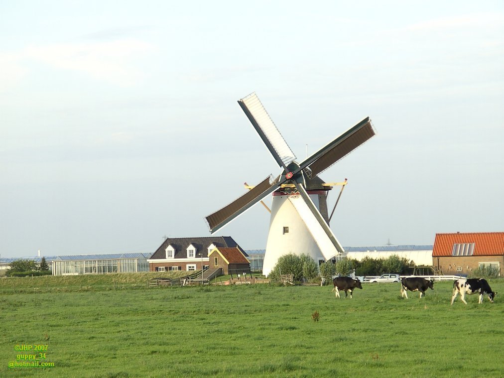 Windmill Groeneveldse Molen - Schipluiden by guppy_34