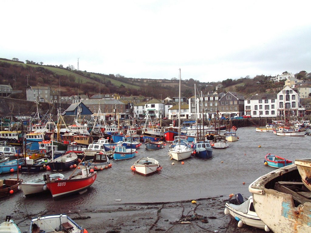 Mevagissey harbour by budesmith