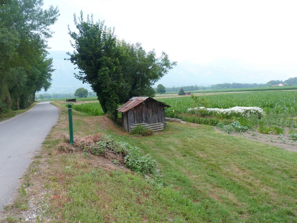 Digue au bord de l'isere by franck.rip