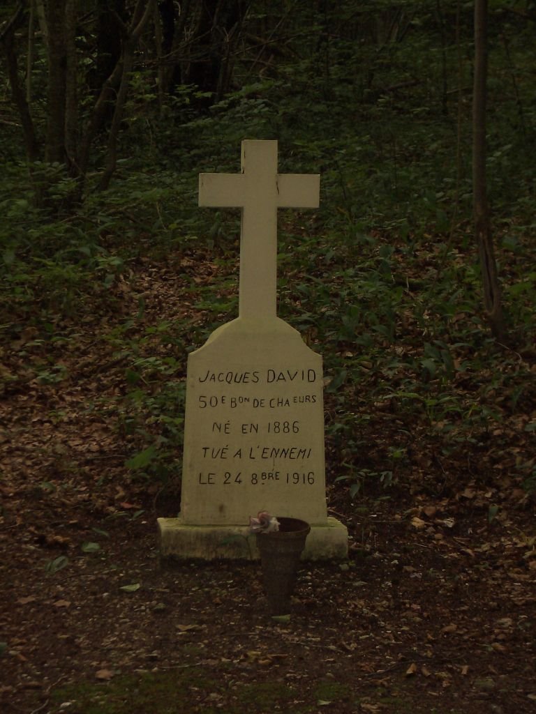 Lonely grave of fallen soldier in the woods near Vaux (First world war) by cop9583