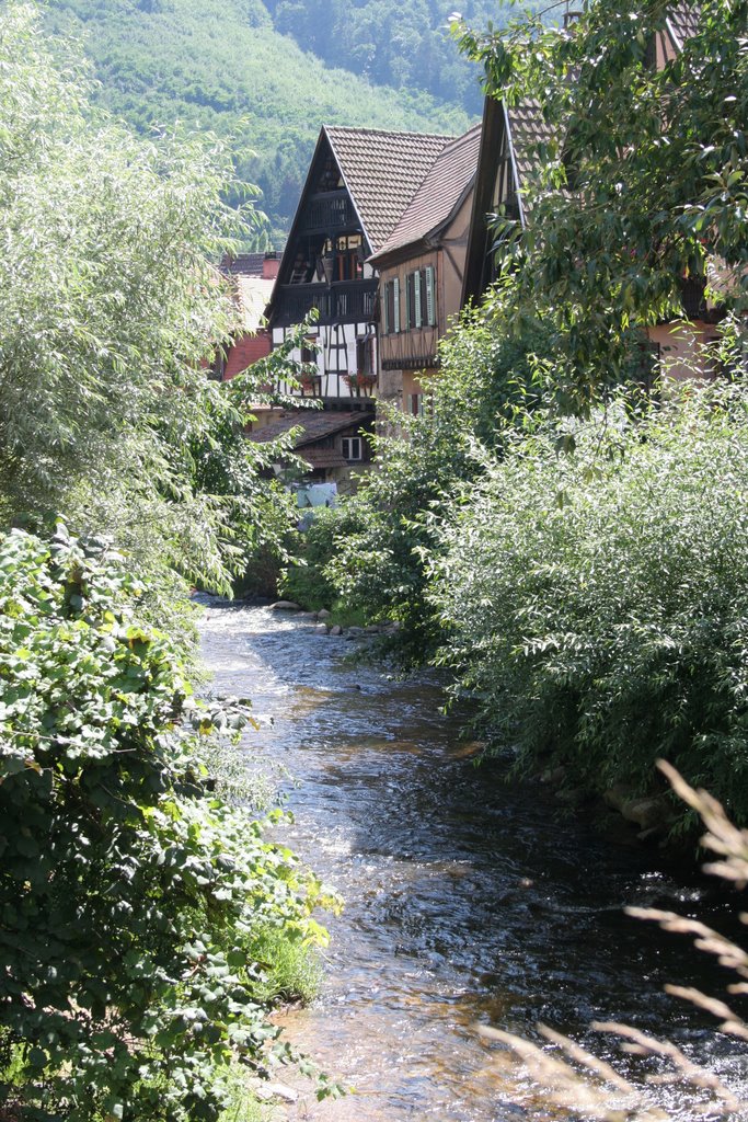 Kaysersberg by mickey1