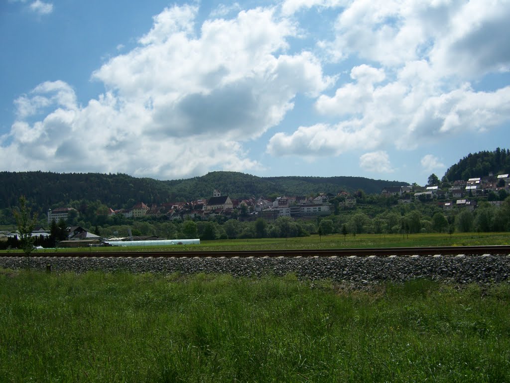 Blick vom Donauradweg auf Mühlheim (an der Donau) und die Donautalbahn (Fr, 4. Juni 2010) by Lf91