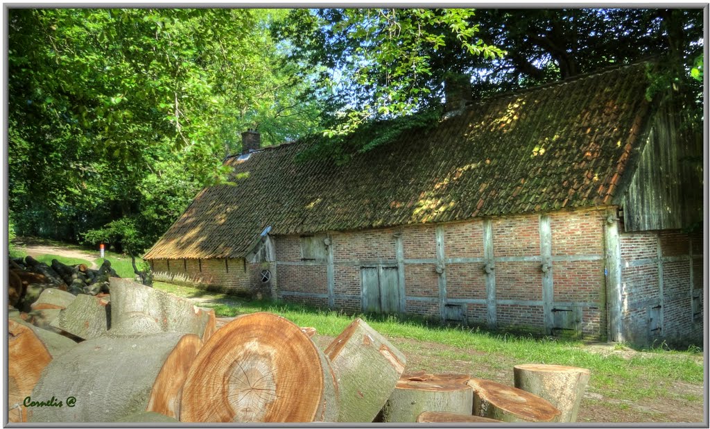 Achterzijde Molen van Bels by Cornelis v. Capelleveen