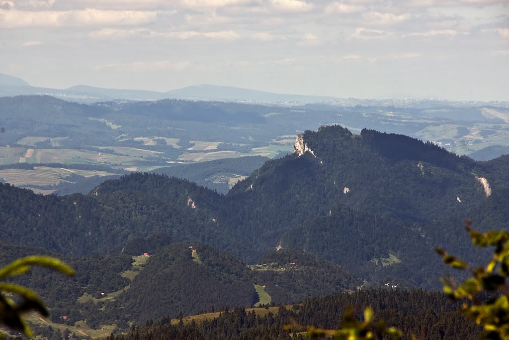 Widok z Wielkiego Rogacza na Sokolicę by tadeusz dziedzina©