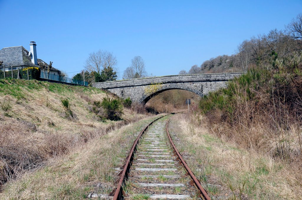 Vor der Einfahrt in den Bahnfof (heute nur noch Haltepunkt) Drugeac-Salers noch eine Straßenbrücke by Railwalker