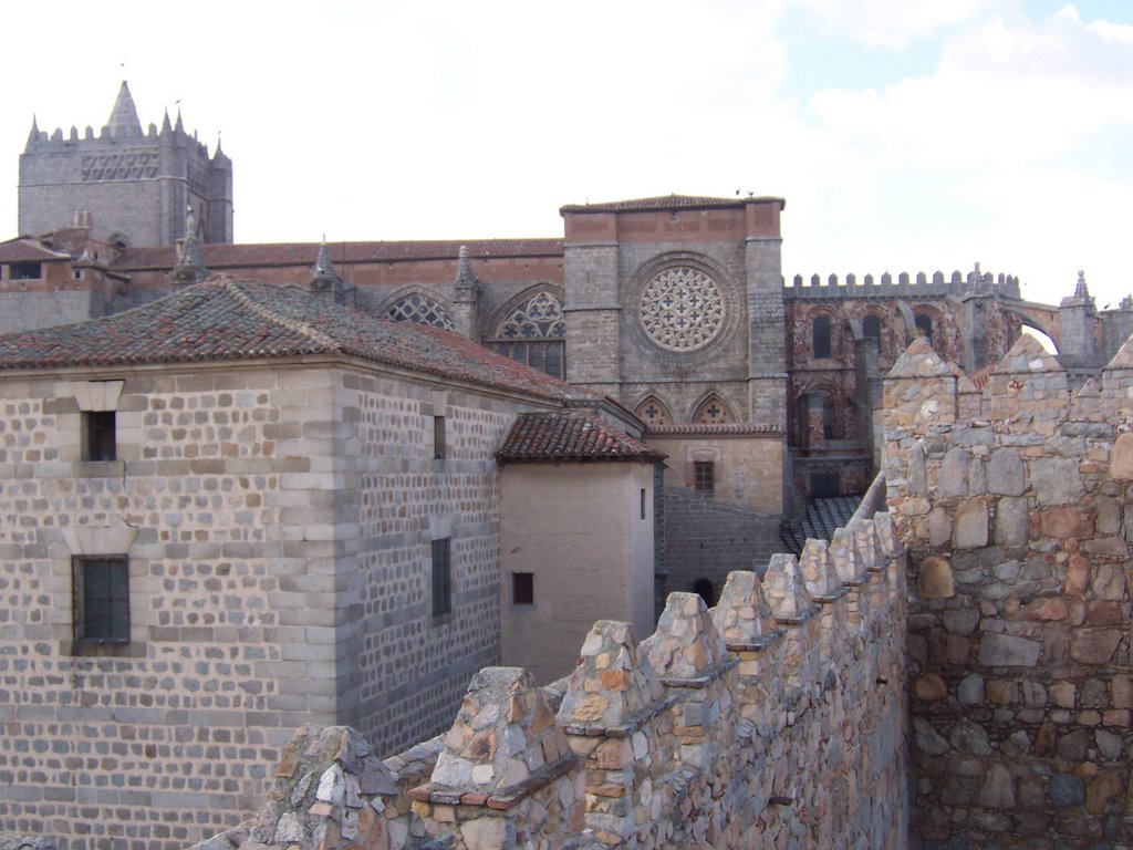 Catedral - Muralla by Jevy