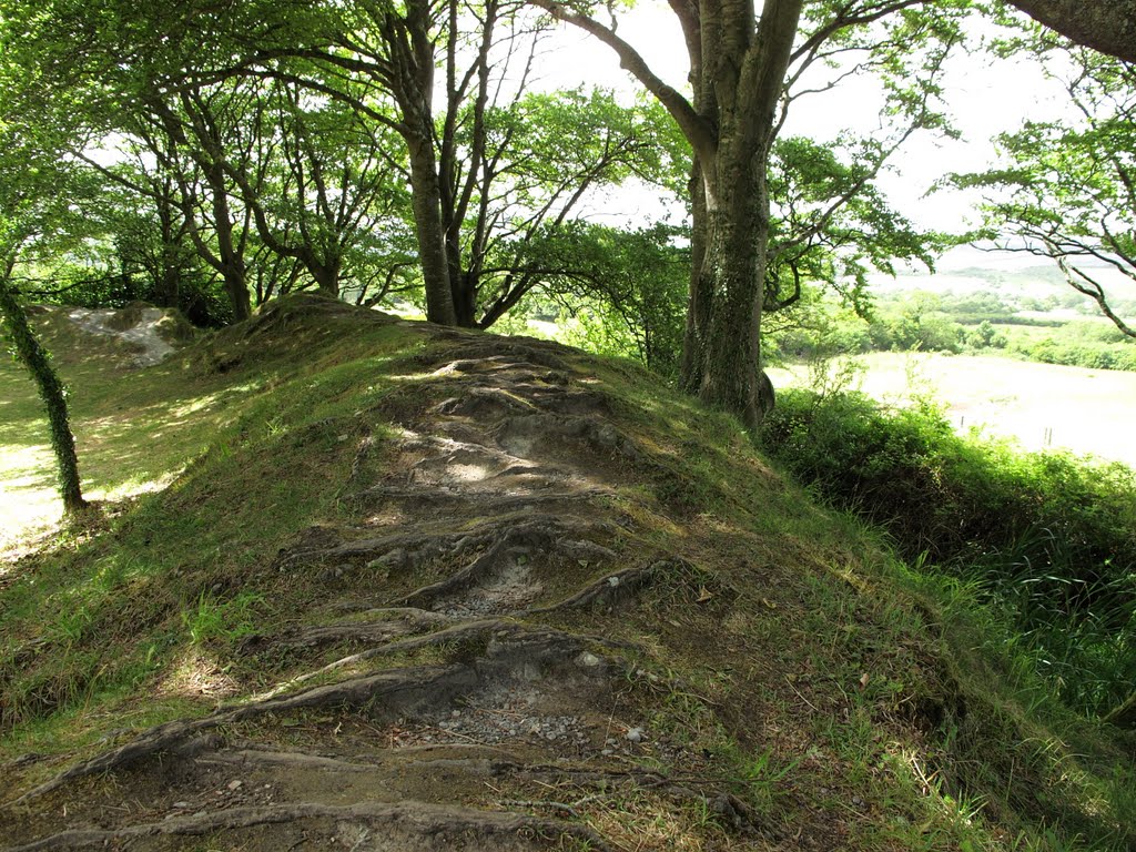 Burren - near Ballyvaughan - Ballyallaban - An Rath - Ringfort by Sabine Holzmann