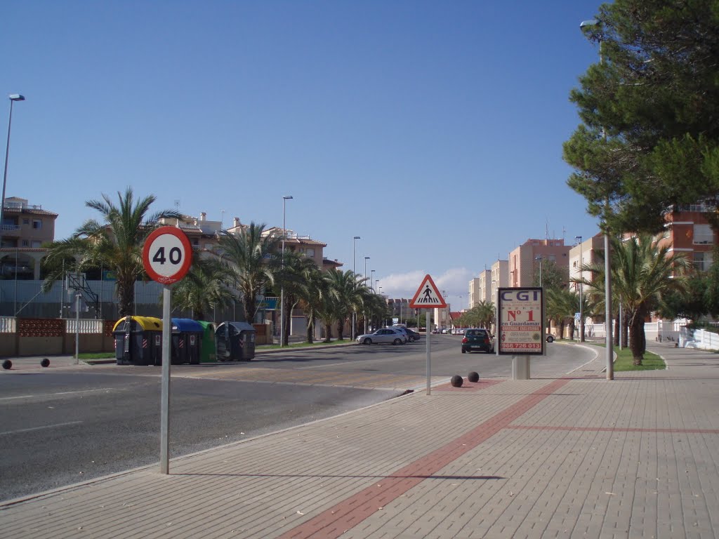 Avenida de Miguel de Cervantes, autor de "Don Quijote de La Mancha" by xabier3007