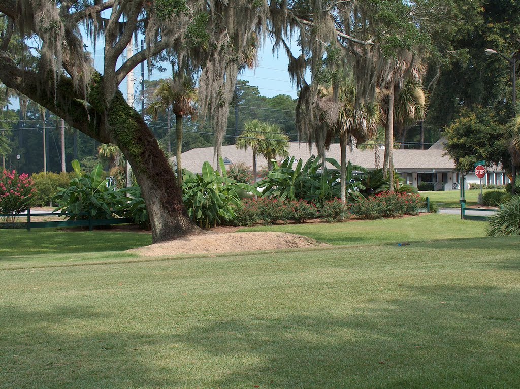 #4 Sea Palms Golf And Tennis Resort, St. Simons, Ga 7-10-2010 by *RTBJR*