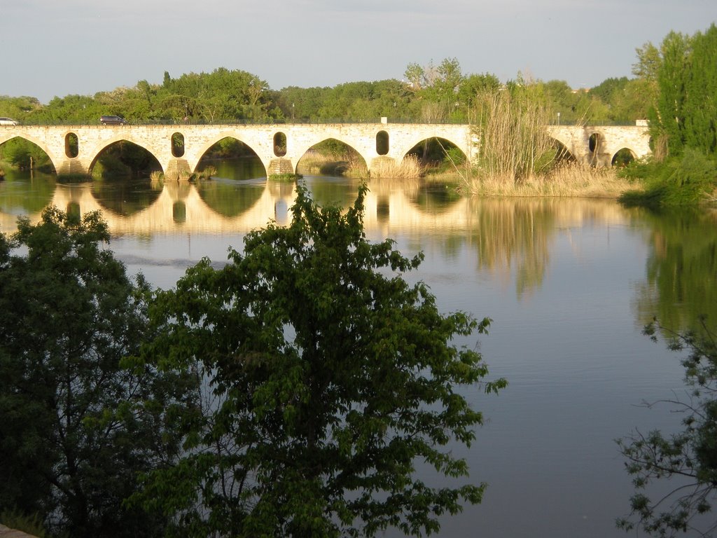 Zamora y Duero by Puccini