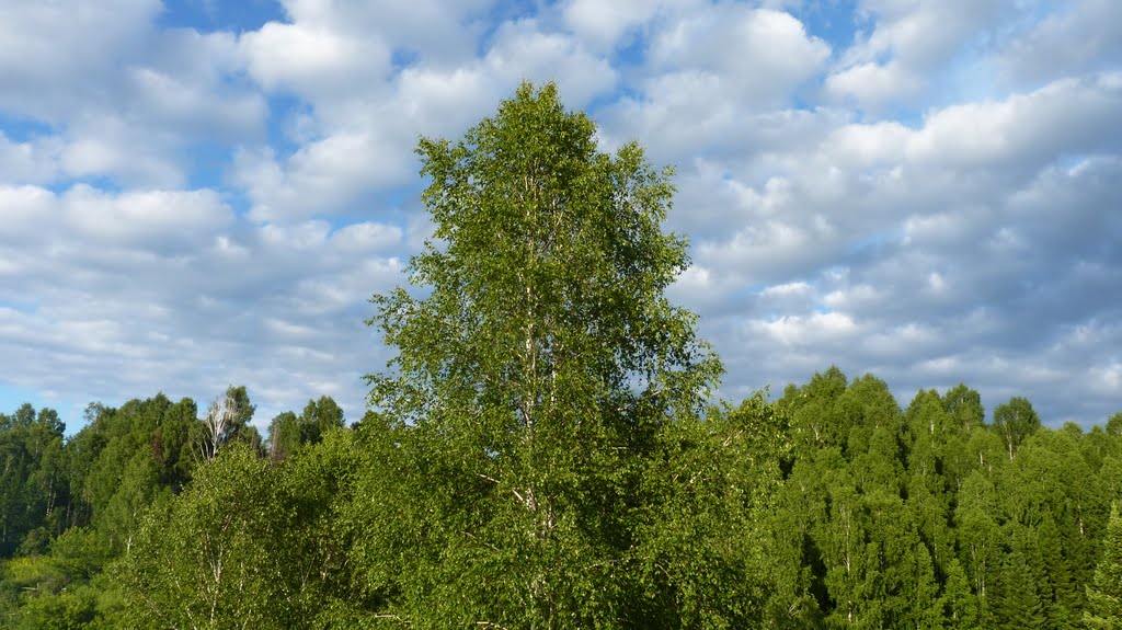 Temirtau. Clouds by Igor Antonov