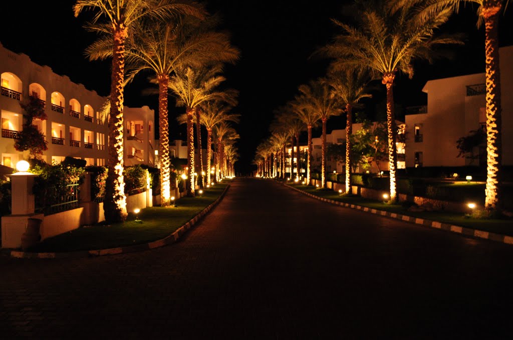 A walkway between Sol Syrene and Sol Sharm hotels by Ilyas Sadiev