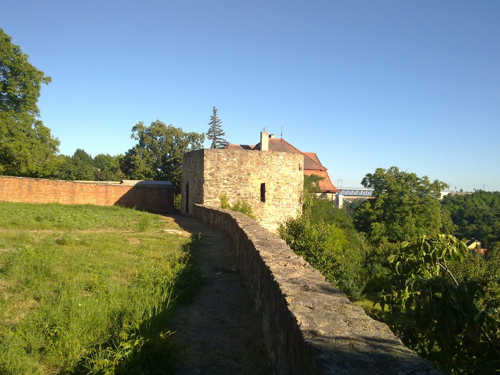 Zbytky hradeb mezi ulicemi Kollárova a Žleby/Dyjská by SirHumphrey